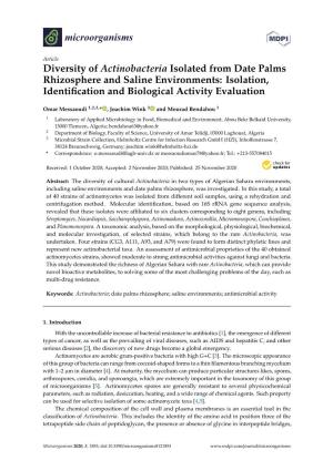 Diversity of Actinobacteria Isolated from Date Palms Rhizosphere and Saline Environments: Isolation, Identiﬁcation and Biological Activity Evaluation
