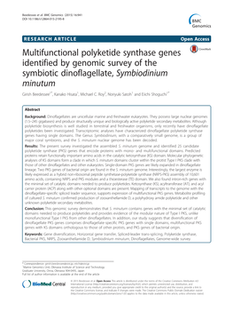 Multifunctional Polyketide Synthase Genes Identified by Genomic Survey of the Symbiotic Dinoflagellate, Symbiodinium Minutum