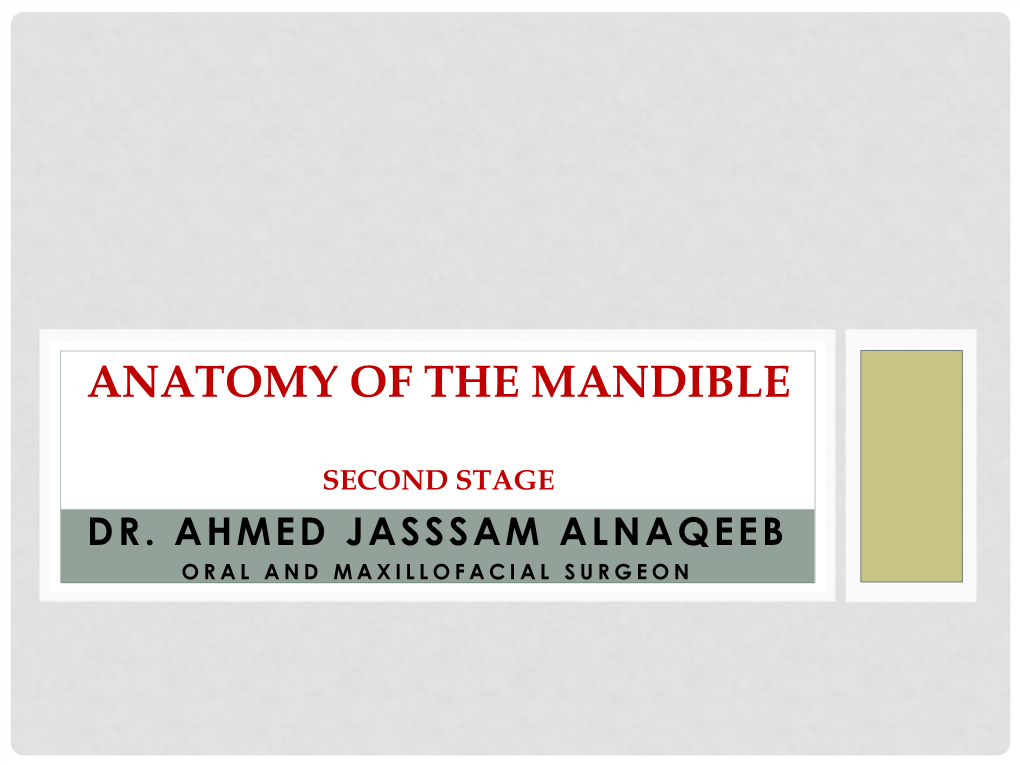 Anatomy of the Mandible