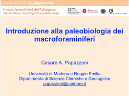 Introduzione Alla Paleobiologia Dei Macroforaminiferi