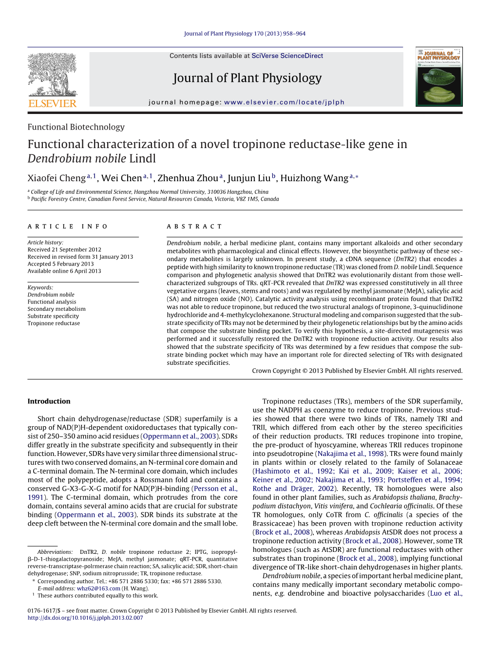 Functional Characterization of a Novel Tropinone Reductase-Like Gene In