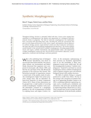 Synthetic Morphogenesis