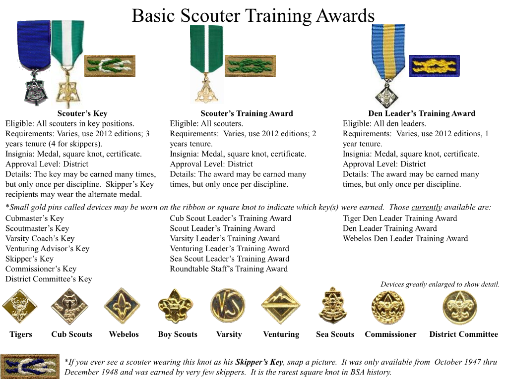 Basic Scouter Training Awards