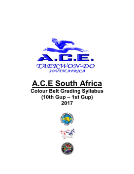 ACE South Africa