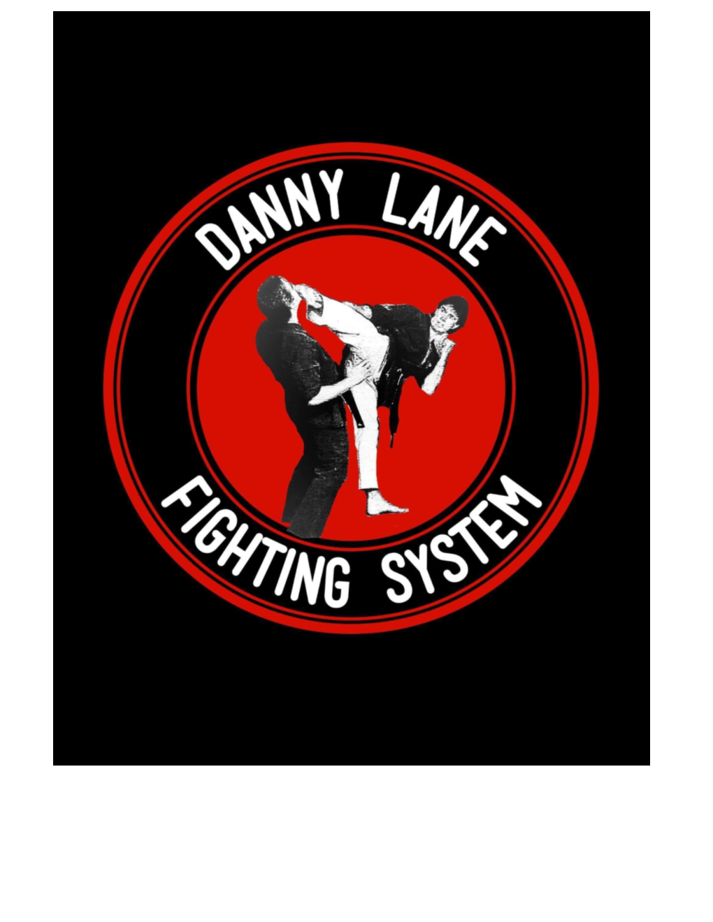 Introduction to the Danny Lane Fighting System