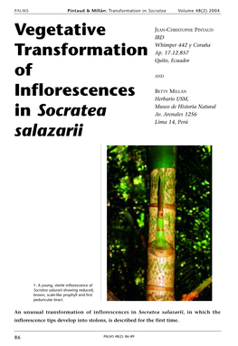 Vegetative Transformation of Inflorescences in Socratea Salazarii