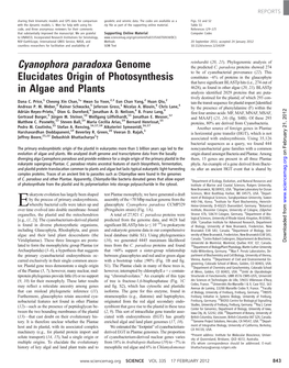 Cyanophora Paradoxa Genome Elucidates Origin of Photosynthesis