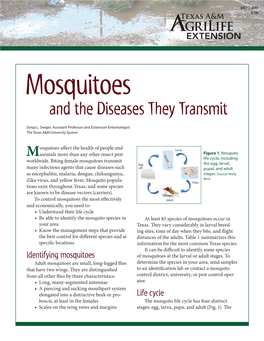 Mosquitoes and the Diseases They Transmit