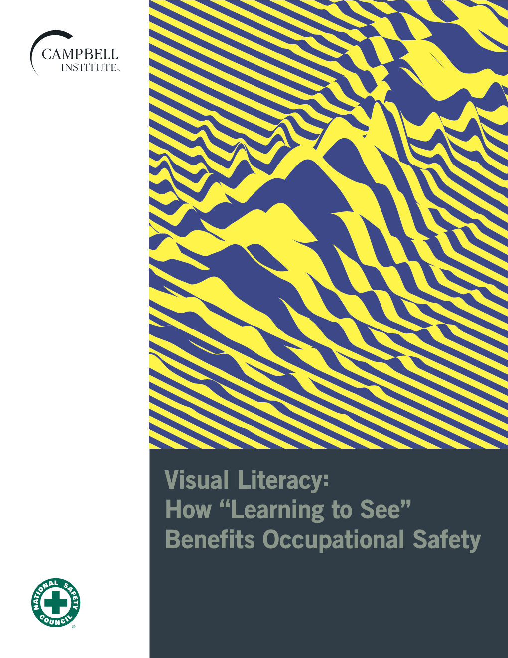 Visual Literacy: How “Learning to See” Benefits Occupational Safety