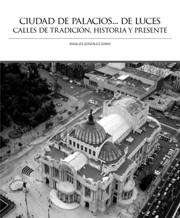 Ciudad De Palacios... De Luces Calles De Tradición, Historia Y Presente