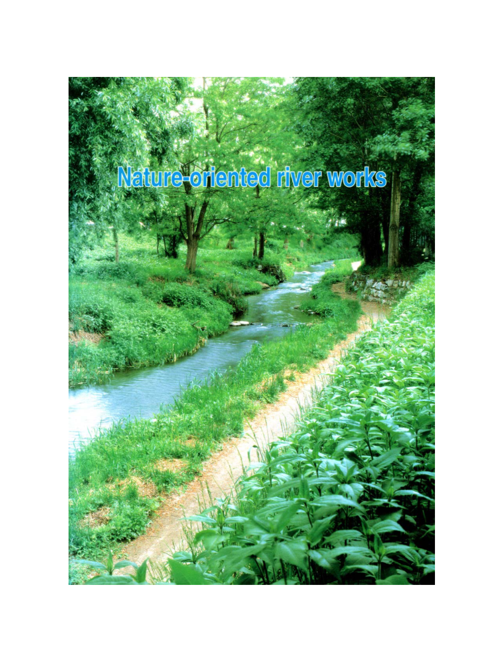Nature-Oriented River Works.Pdf