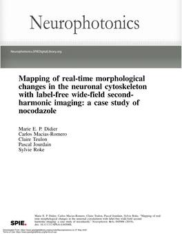 Mapping of Real-Time Morphological Changes in the Neuronal Cytoskeleton with Label-Free Wide-Field Second- Harmonic Imaging: a Case Study of Nocodazole