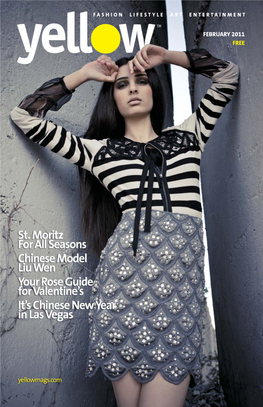 February 2011 Free from the Editor in Chief