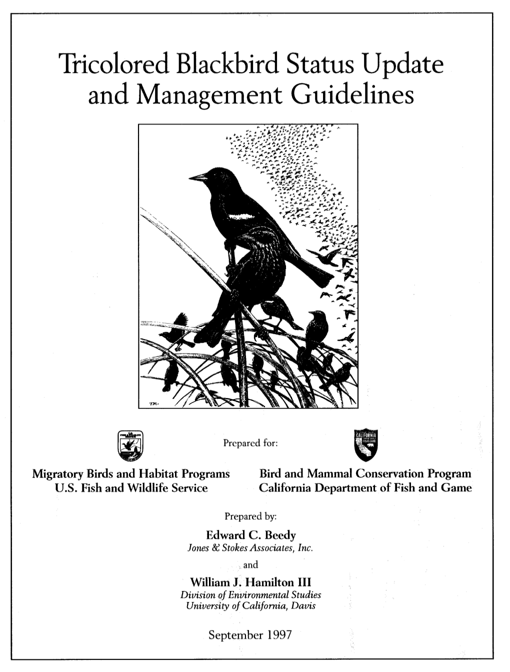 Appendix a General Guidelines for Locating and Monitoring Tricolored Blackbird Colonies