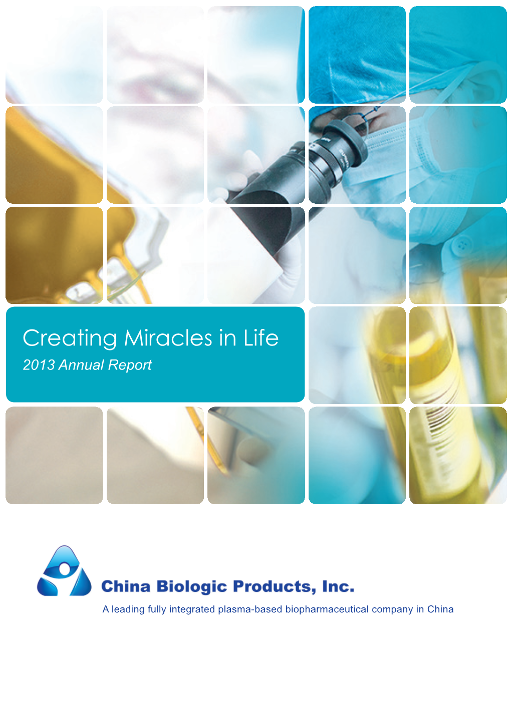 Creating Miracles in Life 2013 Annual Report