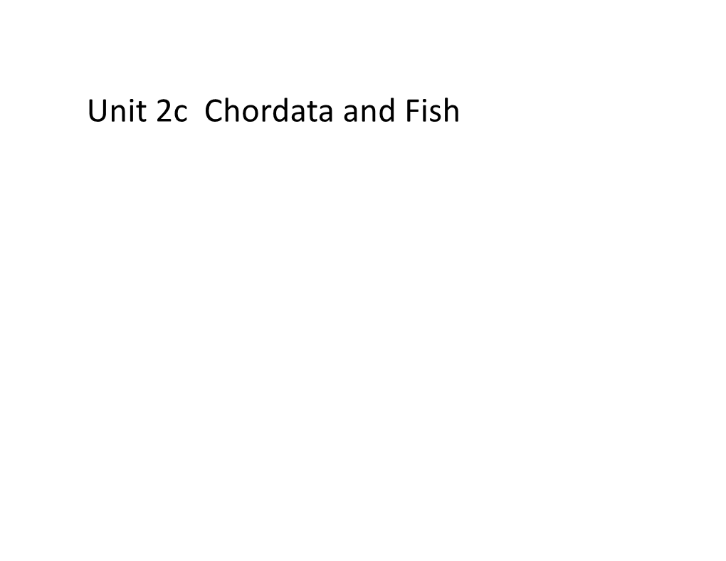 Unit 2C Chordata and Fish