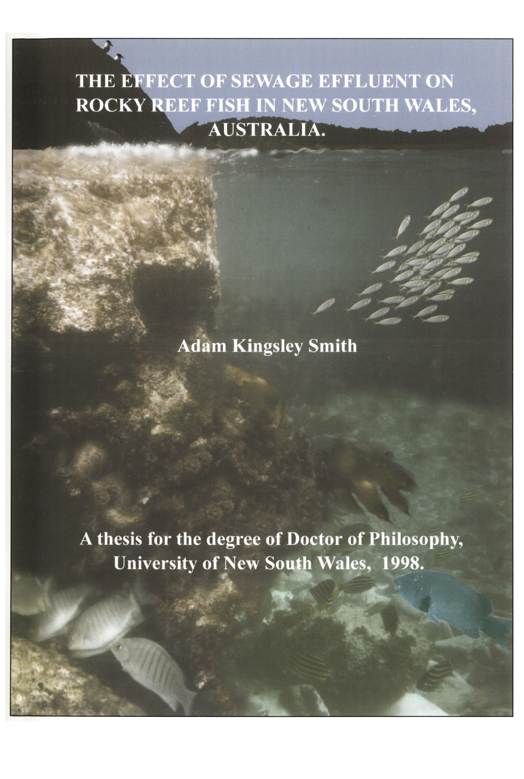 THE EFFECT of SEWAGE EFFLUENT on ROCKY REEF FISH in NEW SOUTH WALES, AUSTRALIA. Adam Kingsley Smith a Thesis for the Degree of D