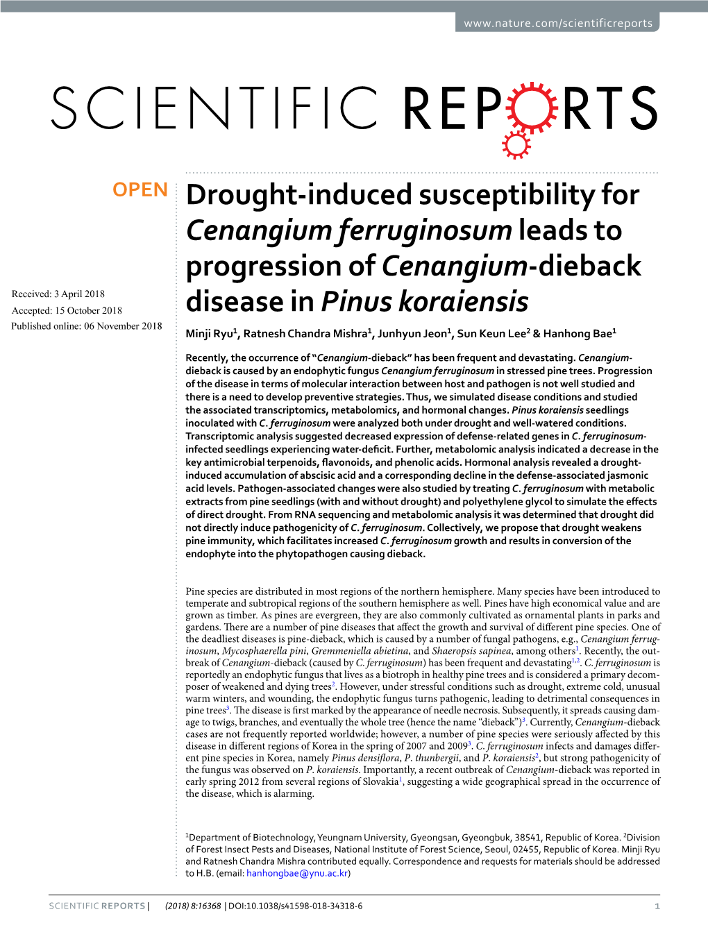 Drought-Induced Susceptibility for Cenangium Ferruginosum Leads To