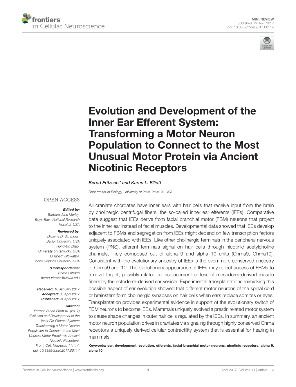 Evolution and Development of the Inner Ear Efferent System