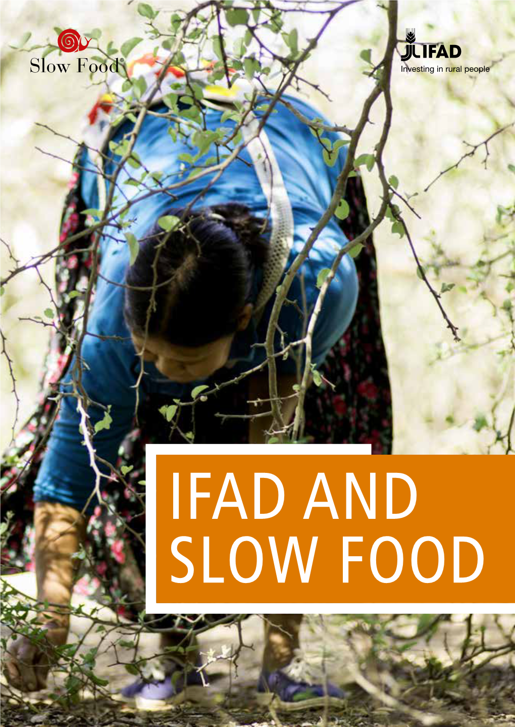 IFAD and SLOW FOOD © Emanuele Dughera TABLE of CONTENTS