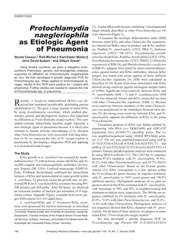 Protochlamydia Naegleriophila Antigen Was Tested with Serum Against All These Different Sp