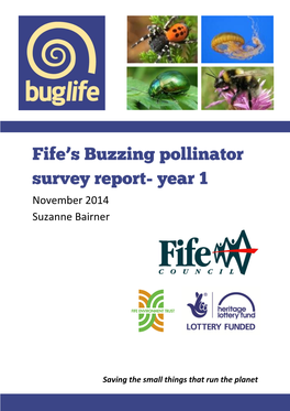 Pollinator Survey Report Year 1