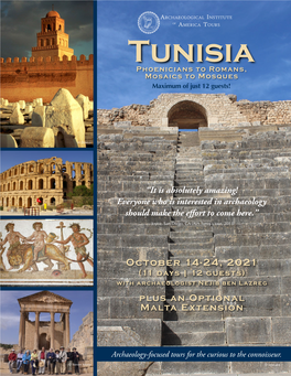 Tunisia Phoenicians to Romans, Mosaics to Mosques Maximum of Just 12 Guests!
