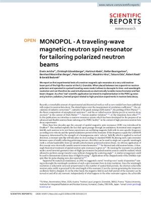 A Traveling-Wave Magnetic Neutron Spin Resonator for Tailoring