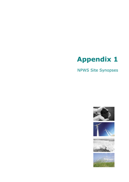 Appendix-1-1.Pdf [PDF]