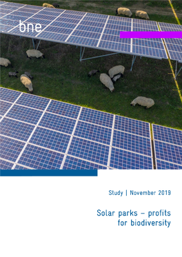 Solar Parks – Profits for Biodiversity 1 Bne | Study | Contents