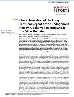 Characterization of the Long Terminal Repeat of the Endogenous
