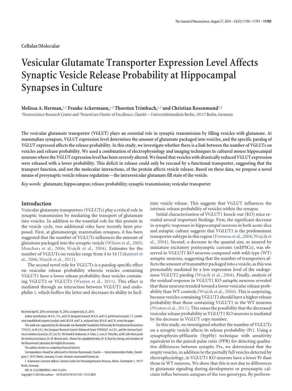 Vesicular Glutamate Transporter Expression Level Affects Synaptic Vesicle Release Probability at Hippocampal Synapses in Culture