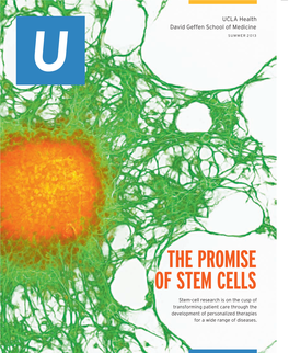 The Promise of Stem Cells