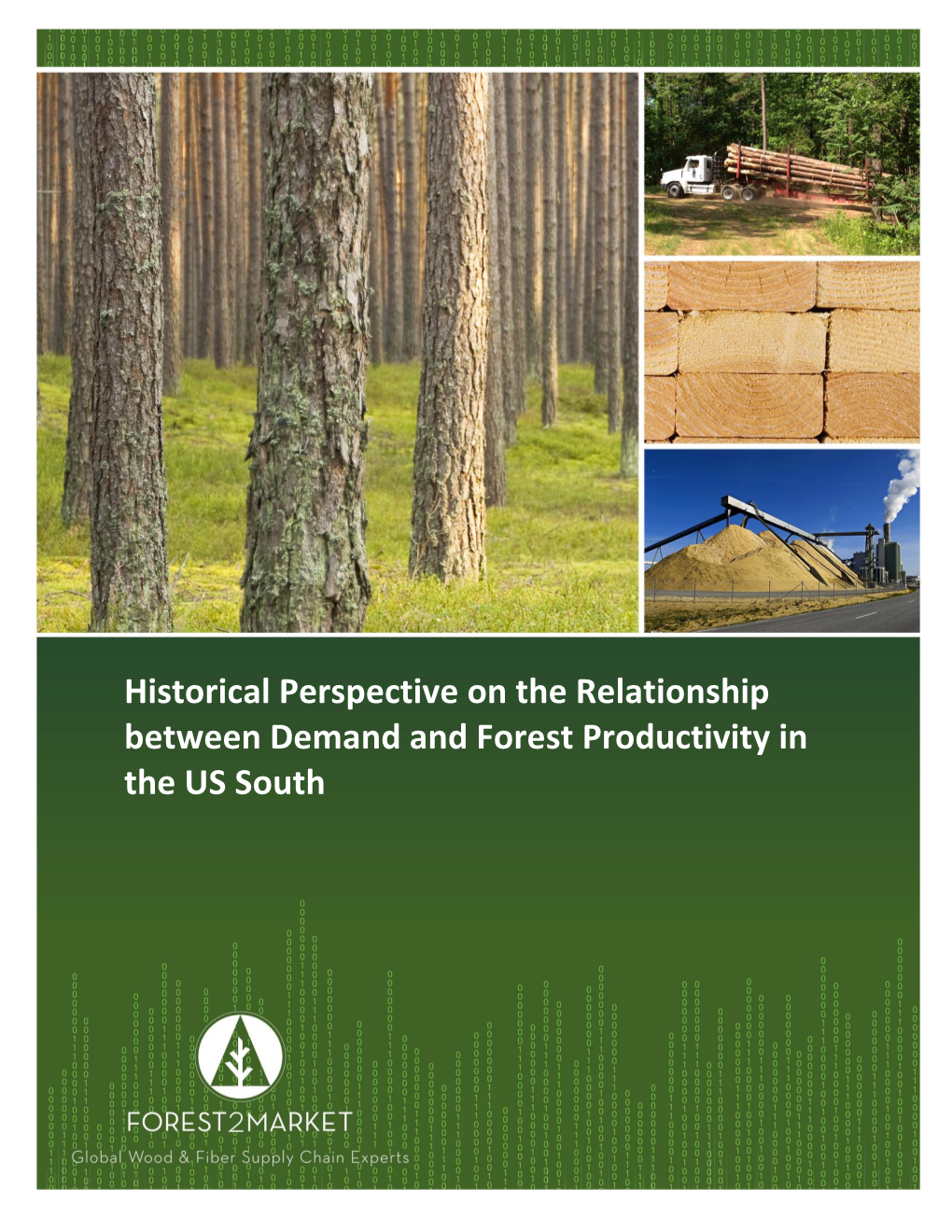 Historical Perspective on the Relationship Between Demand and Forest Productivity in the US South