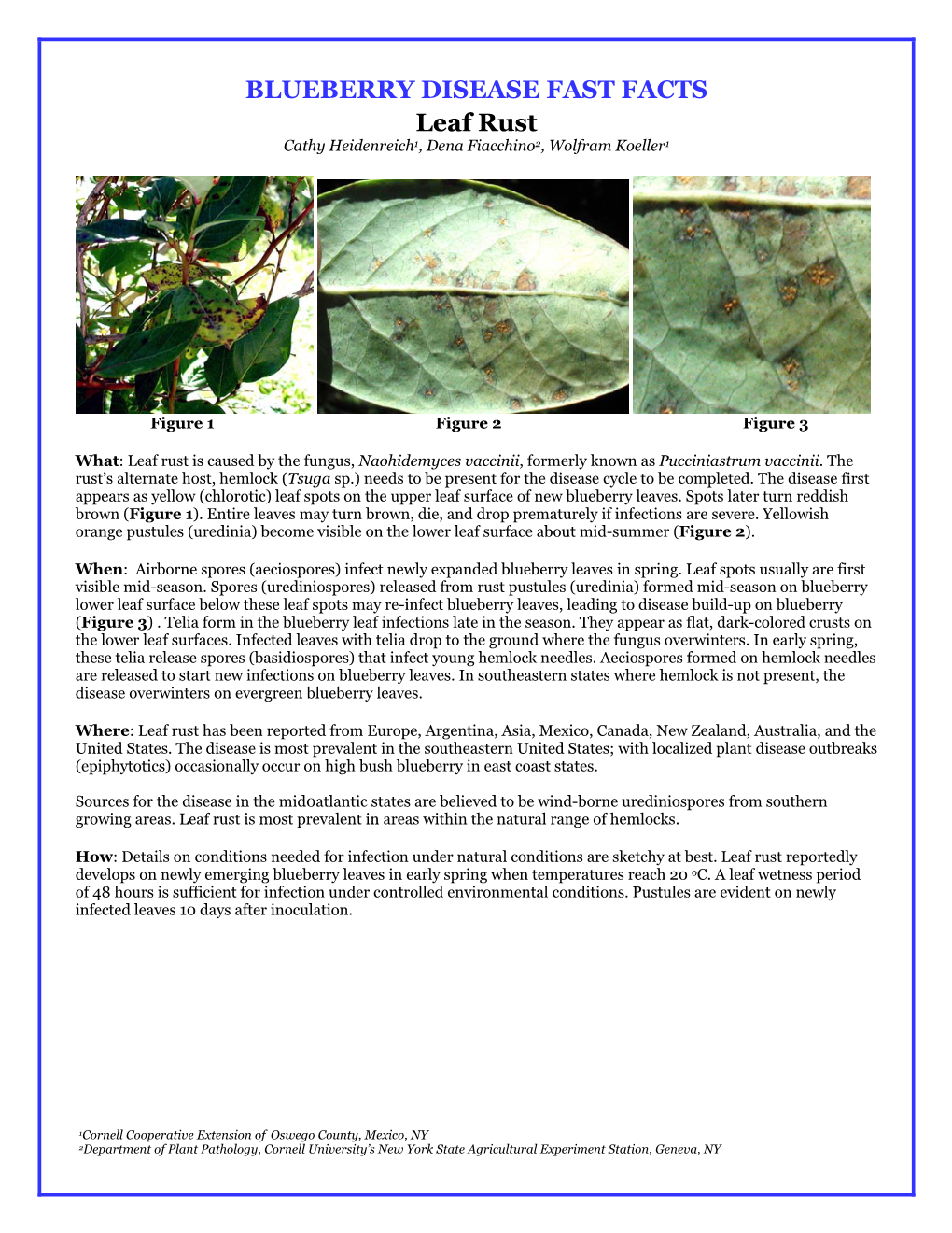 BLUEBERRY DISEASE FAST FACTS Leaf Rust Cathy Heidenreich1, Dena Fiacchino2, Wolfram Koeller1