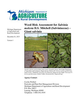 Weed Risk Assessment for Salvinia Molesta D.S. Mitchell (Salviniaceae)