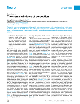 Previews the Cranial Windows of Perception