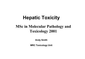 Hepatic Toxicity