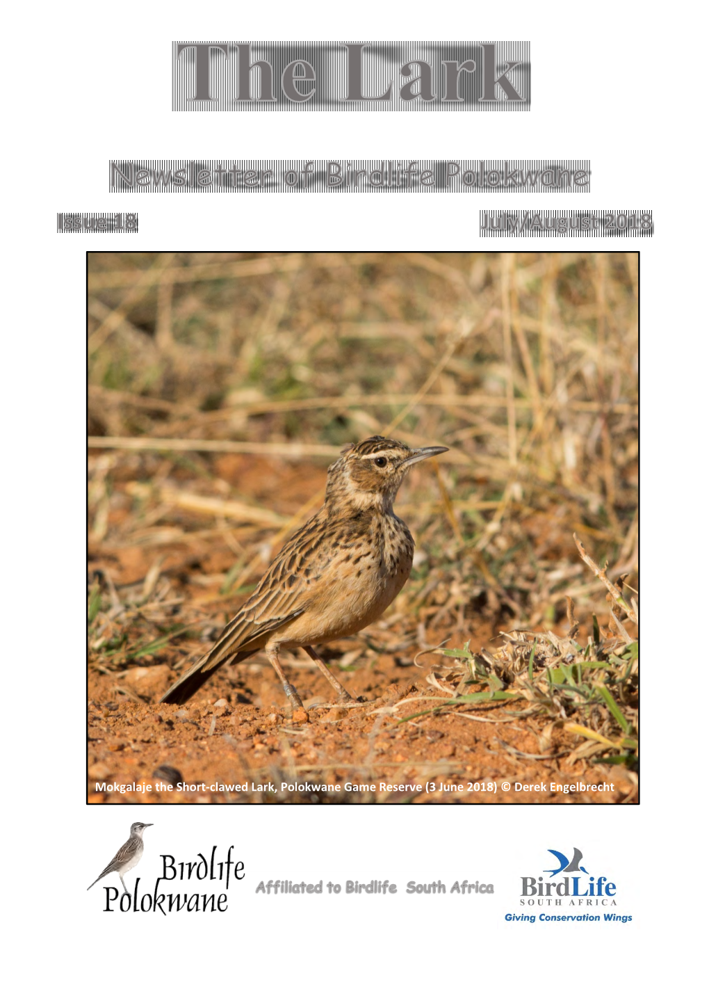 Mokgalaje the Short-Clawed Lark, Polokwane Game Reserve (3 June 2018) © Derek Engelbrecht