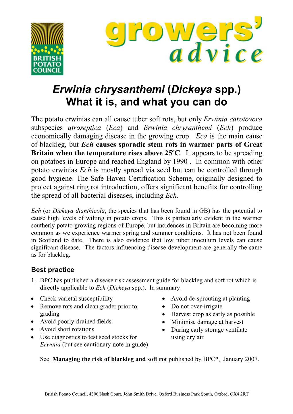 Erwinia Chrysanthemi (Dickeya Spp.) What It Is, and What You Can Do