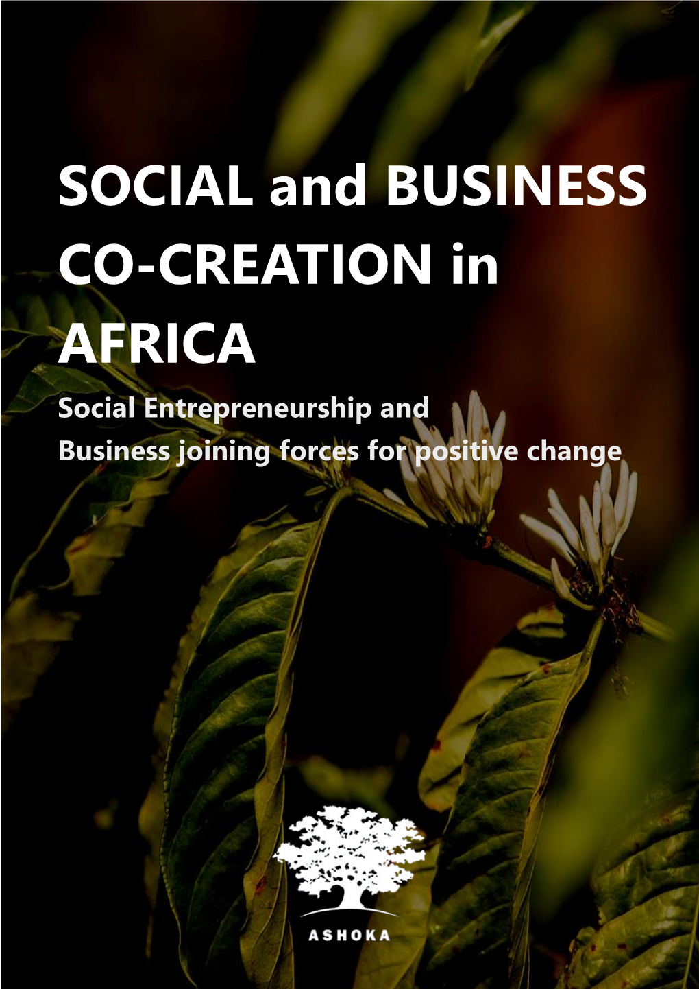 SOCIAL and BUSINESS CO-CREATION in AFRICA Social Entrepreneurship And