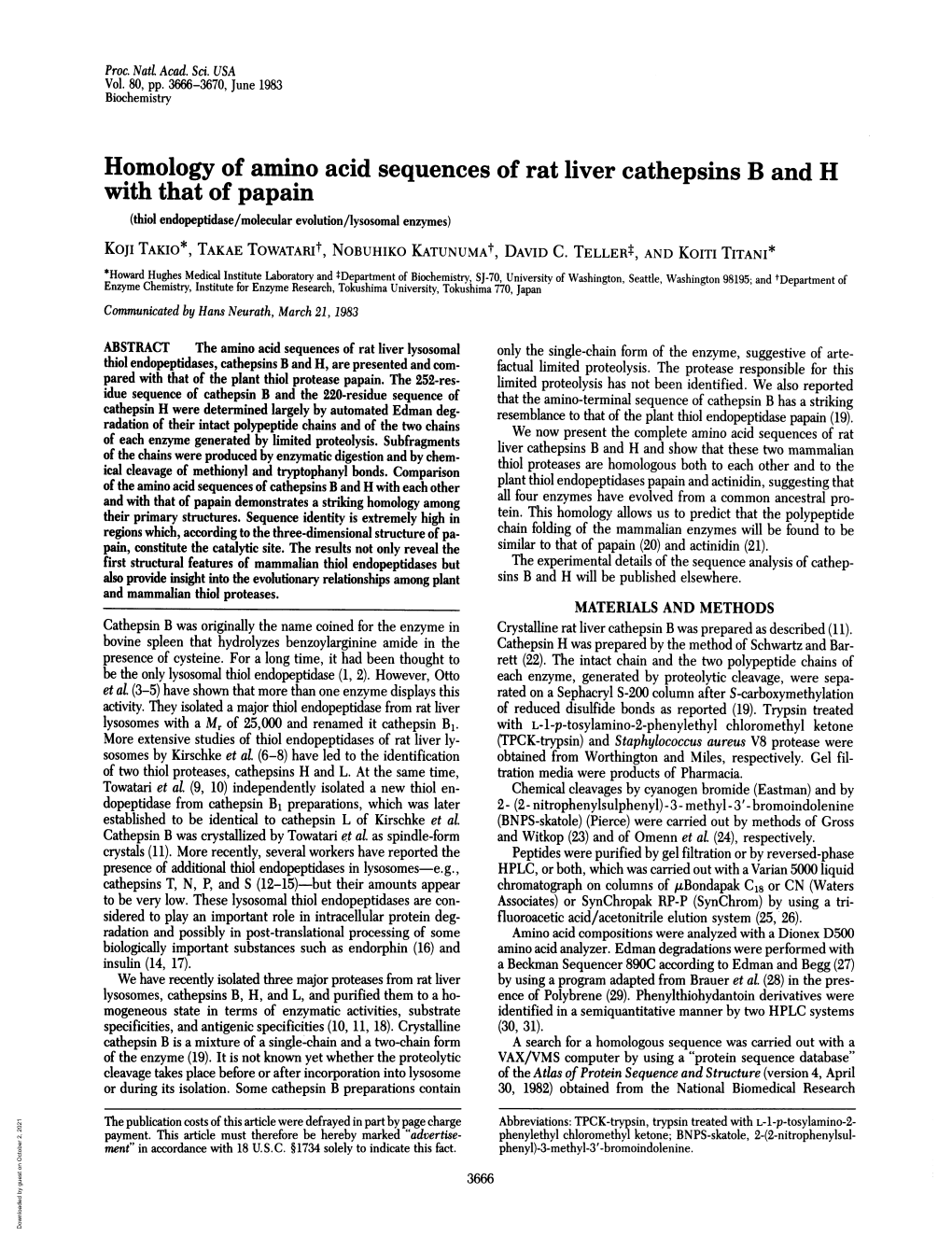 Homology of Amino Acid Sequences of Rat Liver Cathepsins B and H With