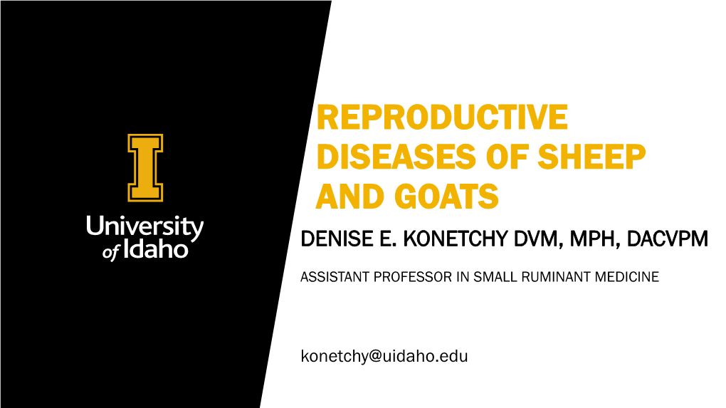 Reproductive Diseases of Sheep and Goats Denise E