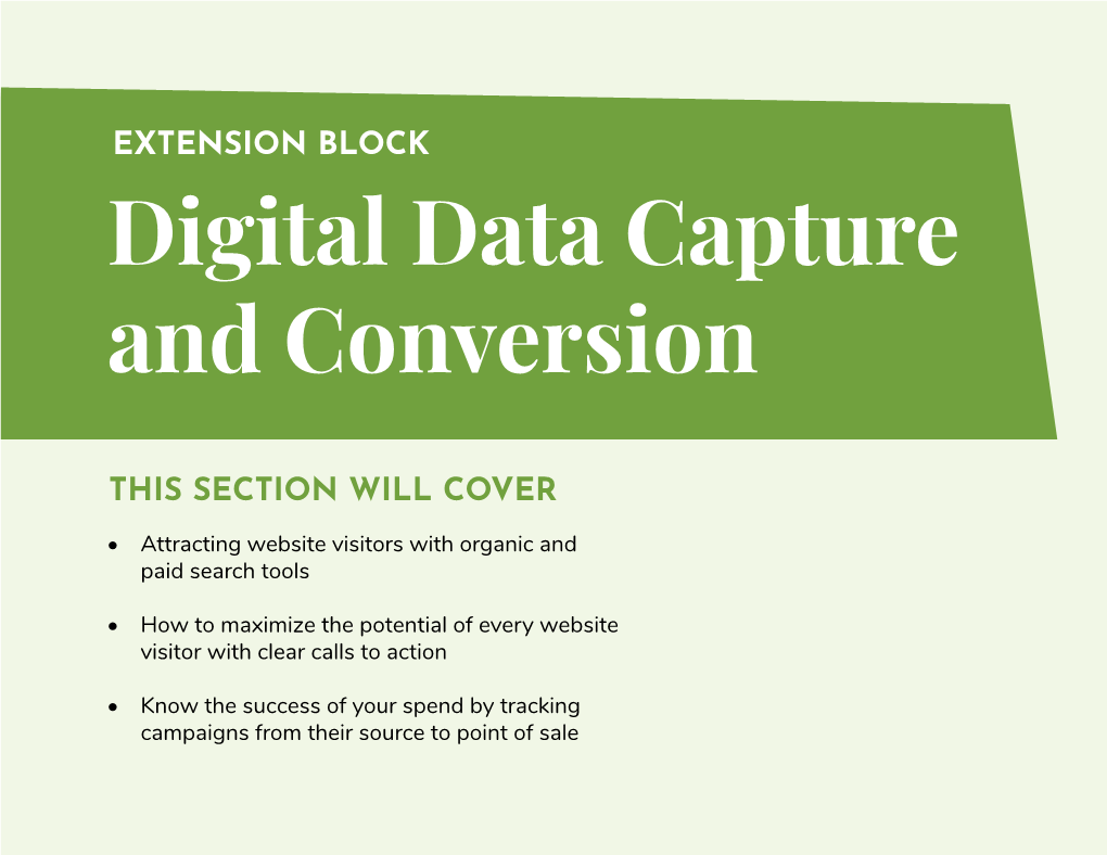 Digital Data Capture and Conversion EXTENSION BLOCK