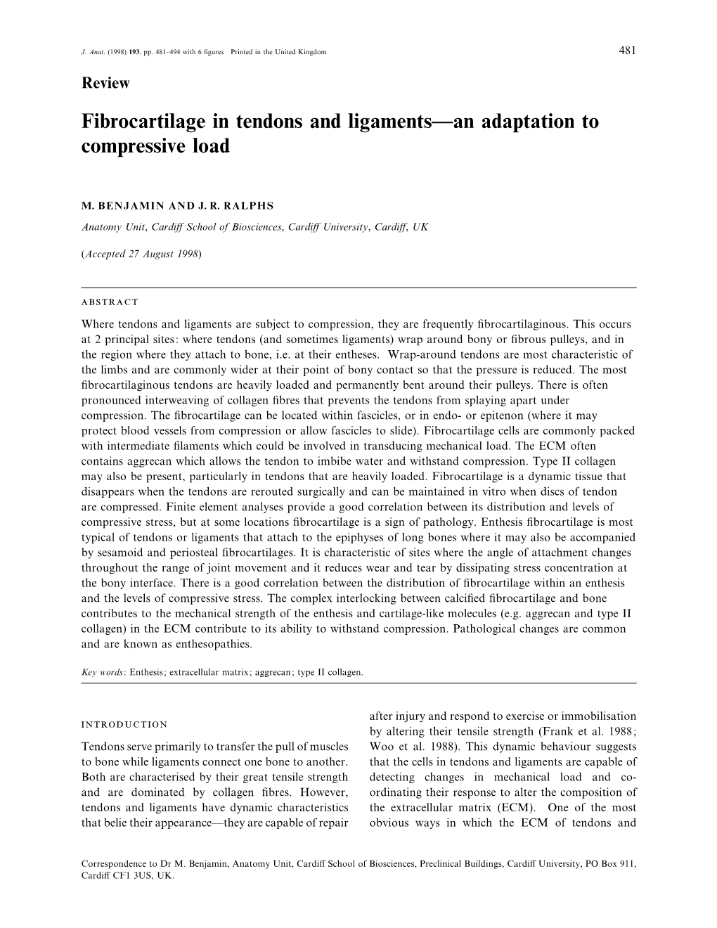 Fibrocartilage in Tendons and Ligaments—An Adaptation to Compressive Load