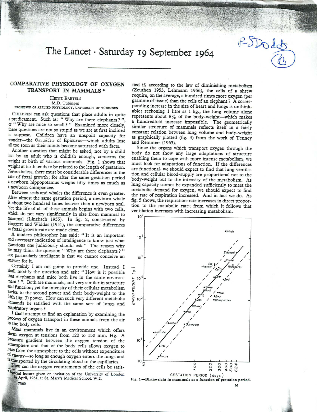 The Lancet • Saturday 19 September 1964