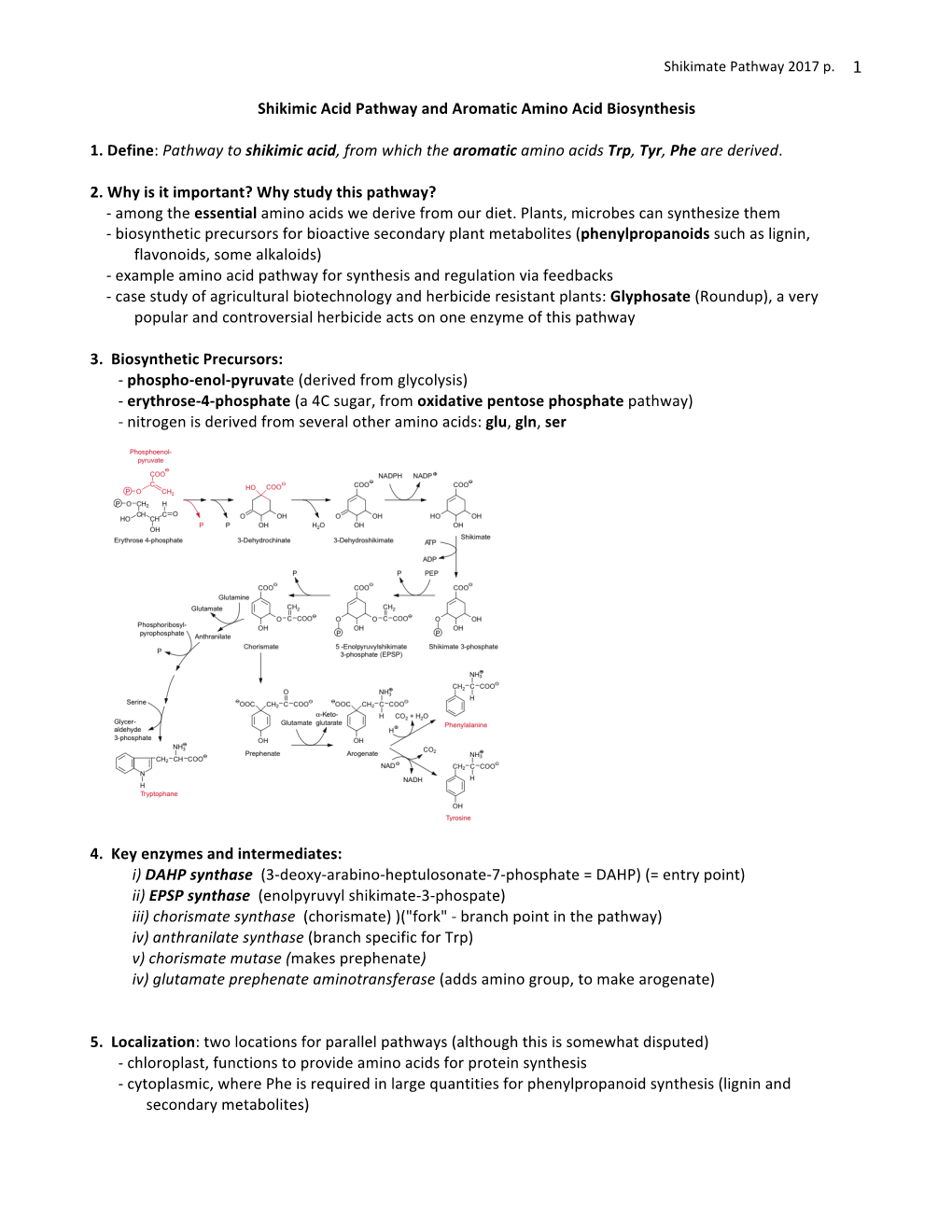 Pathway to Shikimic Acid, from Which the Aromatic Amino Acids Trp, Tyr, Phe Are Derived