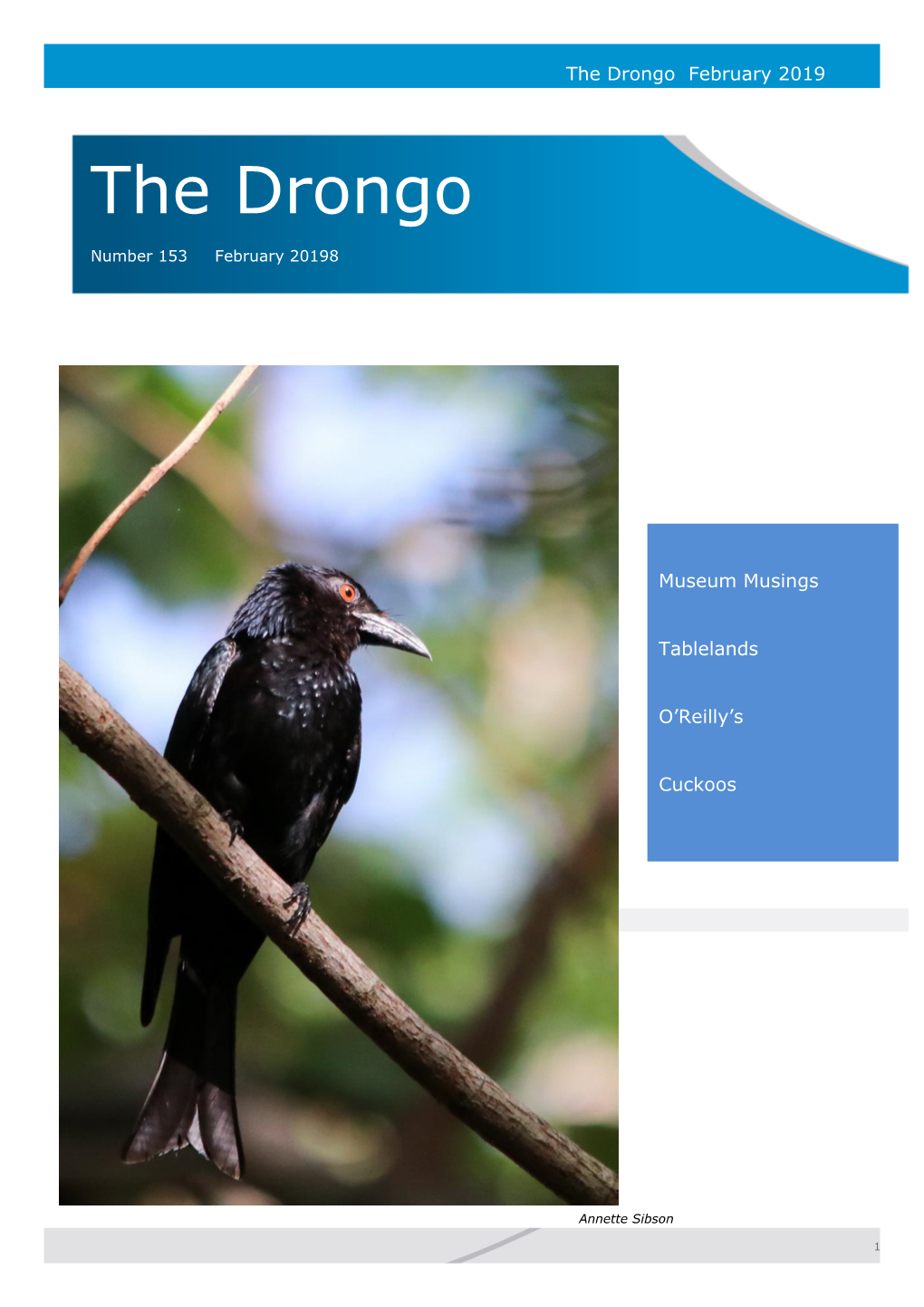 The Drongo February 2019