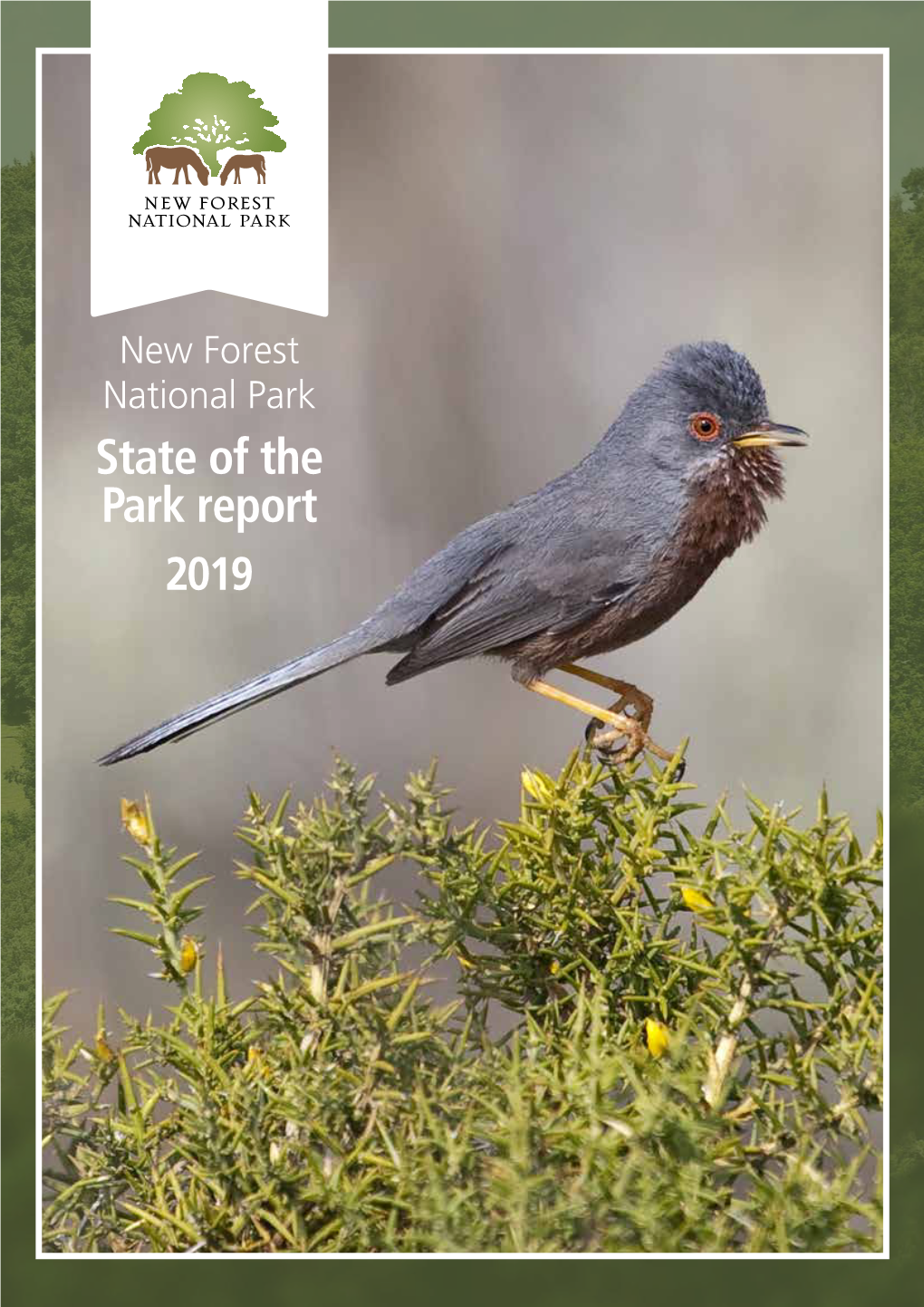 State of the Park Report 2019 State of the Park Report 2019