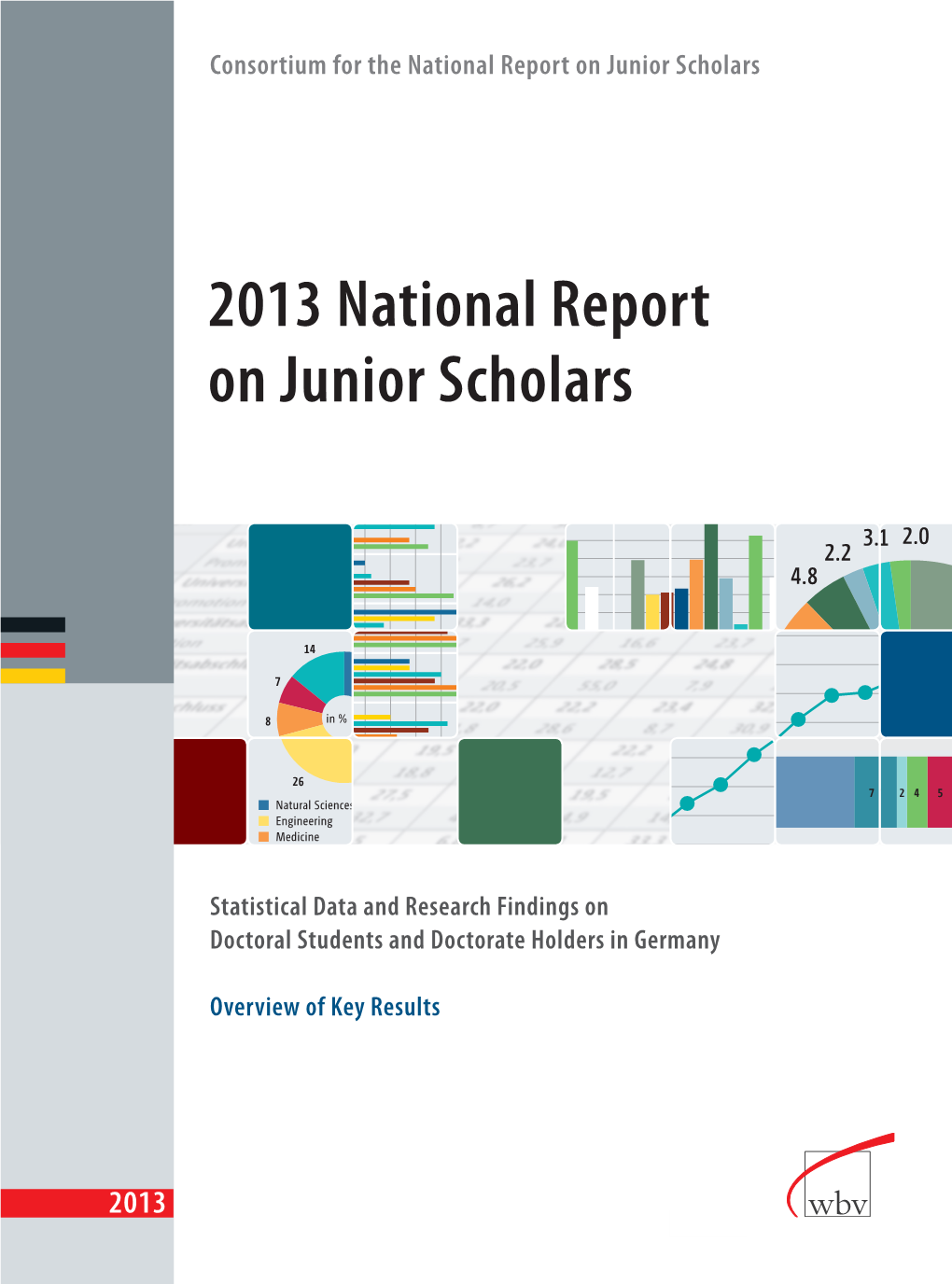 2013 National Report on Junior Scholars, P